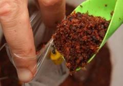 Korda Solidz PVA Torba