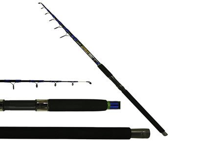 Eurofish Carnellian 4,00 mt 100-200 gr Kamış