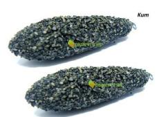 Avpazarim Kumlu Sazan Bombası