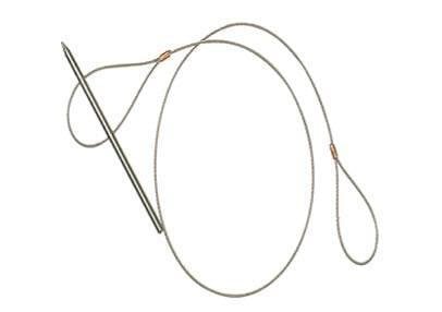 Seac Sub Balık Dizgisi