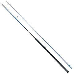 Bauer Pıa 2,90 mt 30-70 gr Shore Jig Kamış