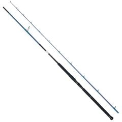 Bauer Pıa 3,05 mt 30-100 gr Shore Jig Kamış