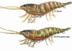 Savage gear SG 3D Hybrid Shrimp 10 cm 17 gr