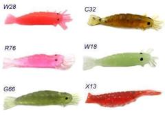 Spider Karides Şasi