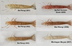 Kaminari Silikon Parçalı Karides İğnesiz