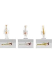 Ecotackle Melagues 79 mm 7,5 gr Silikon Karides