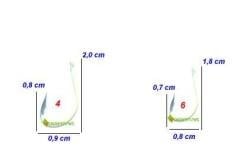 BKK Carp Point İğne