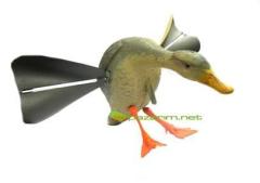 Kanatlı Ördek Mühresi