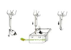 Effe Işıklı İğne Çıkarıcı