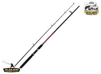 Bauer Spinex 2,10 mt 10-40 gr Kamış
